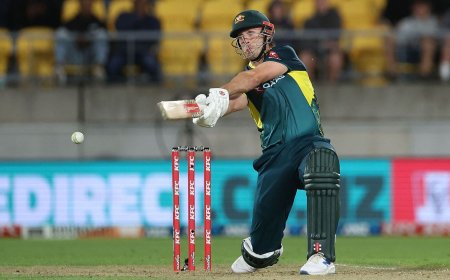 New Zealand vs Australia 1st T20 Highlights: Nz vs Aus, David, Marsh lead Aus beat Nz by 6 wickets