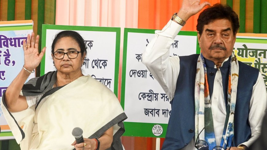 Lok Sabha elections: Mamata Banerjee hits out at Congress, says Nyay Yatra 'strategy to gain Muslim vote’