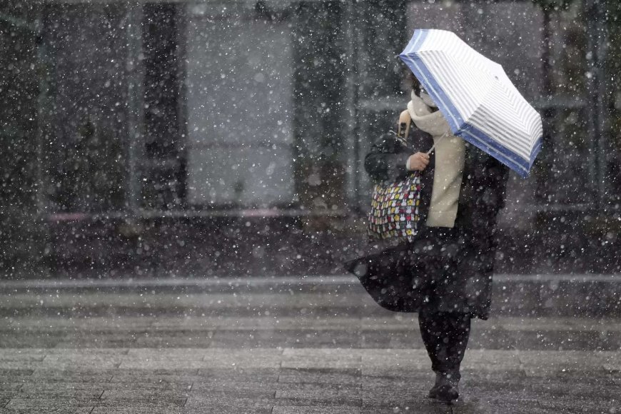 Heavy snow hits Tokyo area, halting trains and grounding more than 100 flights