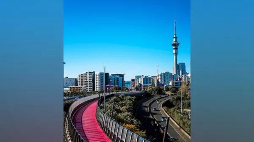 Train services disrupted in Auckland due to extreme heat