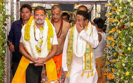 Rahul Gandhi greeted with 'Modi-Modi' chants, potatoes as Bharat Jodo Nyay Yatra passes through MP