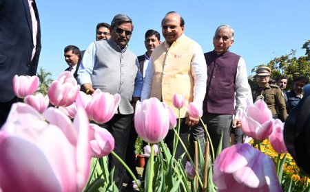 14 thousand potted plants of 35 varieties of flowers displayed in the NDMC Flower Festival.