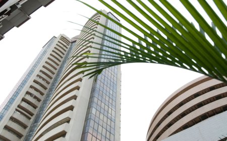 Bank of Baroda shares hit lifetime high after 20% rally in YTD. Experts see more upside