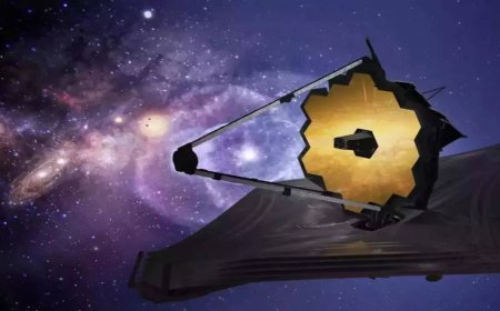 Nasa's JWST unveils new insights into the universe's smallest stars