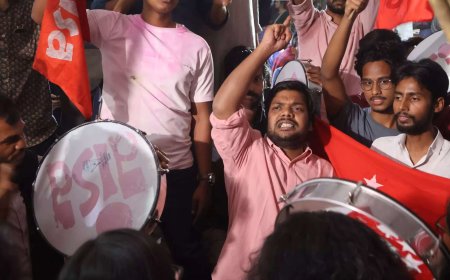 JNUSU Election 2024: Who is Dhananjay? JNU's First Dalit President Elected After Nearly 30 Years