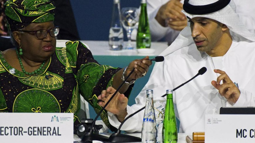 World Trade Organization ends meeting in UAE after failing to reach major agreements