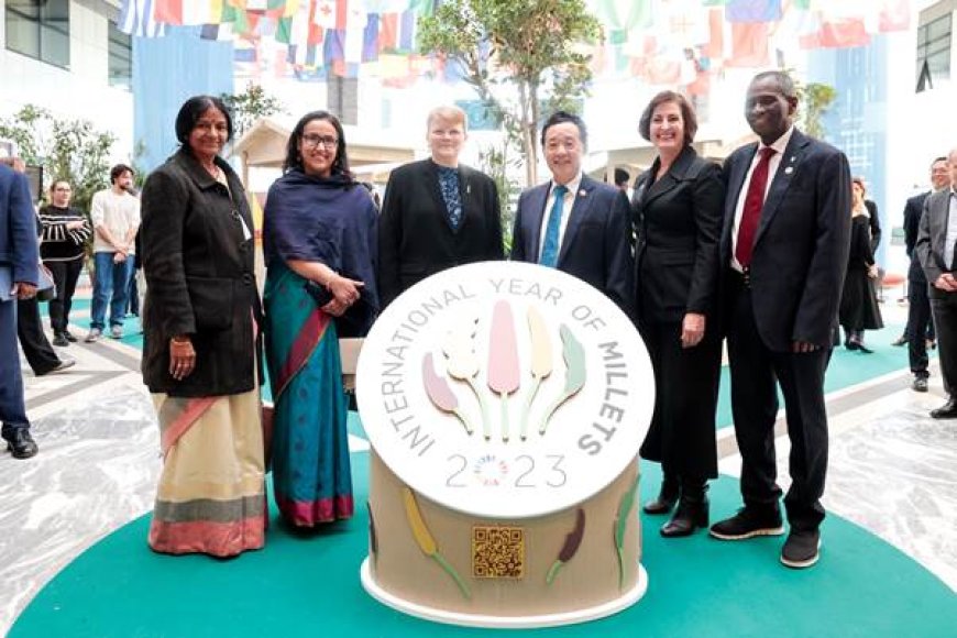 Closing ceremony of the International Year of Millets 2023 took place at  Rome