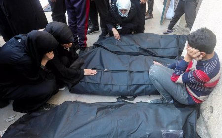 'Lost for words': WHO chief Tedros on Israeli on Gaza hospital