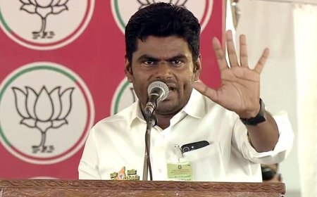 'Useless without family's name': Annamalai hits back at Dayanidhi Maran after his 'joker' remark