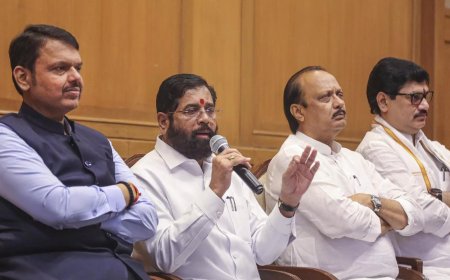 BJP drops CM Shinde, Dy CM Pawar from list of star campaigners