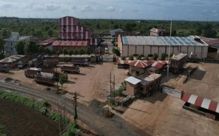 Ramdevbaba Solvent IPO allotment to be out today; GMP, steps to check allotment status