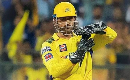 'Aap technology ko...': Ex-India players not 'convinced' with DRS