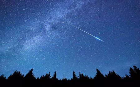 Lyrid meteor shower: When and where to watch
