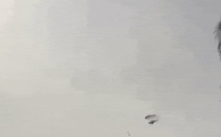 10 dead after Malaysian Navy helicopters collide mid-air