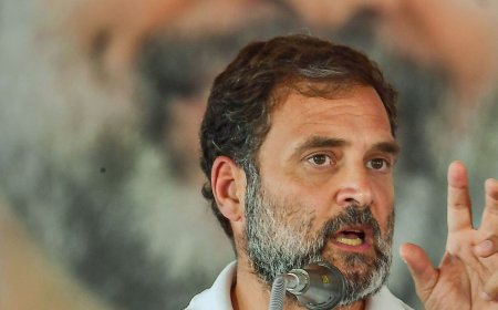 Will Rahul Gandhi retain Wayanad in three-cornered fight with CPI's Annie Raja and BJP's K Surendran in Phase 2?