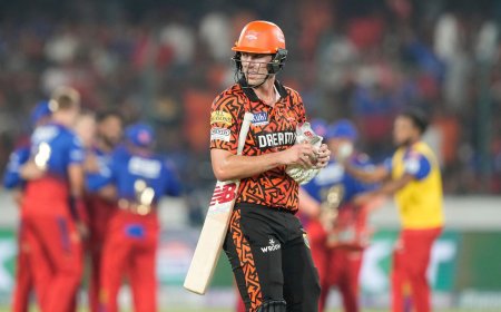 RCB vs SRH IPL 2024 Highlights: Pat Cummins admits, ‘not going to win…’