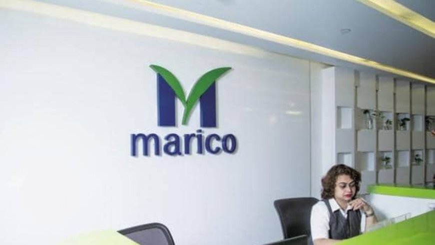 Marico stock rises 3% after company reports gradual uptick in Q4 growth