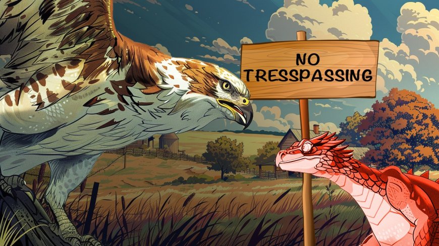 'New Cold War': The growing movement against Chinese land ownership in US