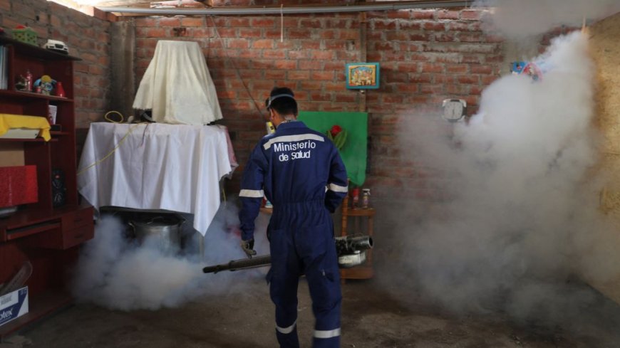 Peru's dengue deaths triple as climate change swells mosquito population