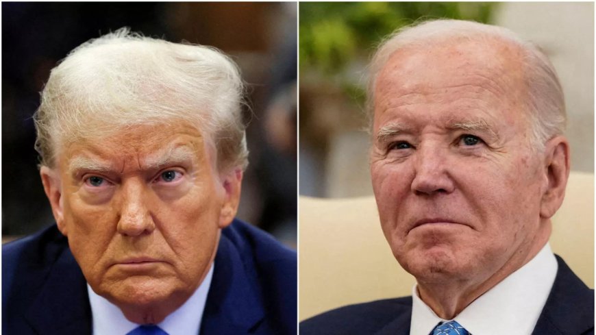 Not keen on Biden or Trump? Vote for 'literally anybody else'