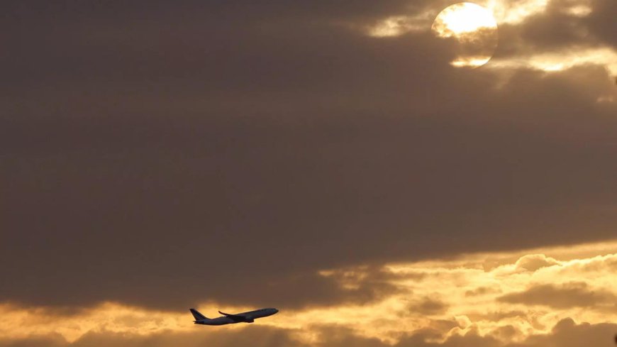 Independent travel high on Gen Z's mind: Skyscanner survey