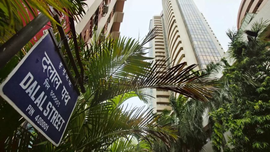 Top Gainers and Losers today on 24 April, 2024: Hindalco Industries, Cipla, Tata Consumer, Grasim Industries among most active stocks; Check full list here