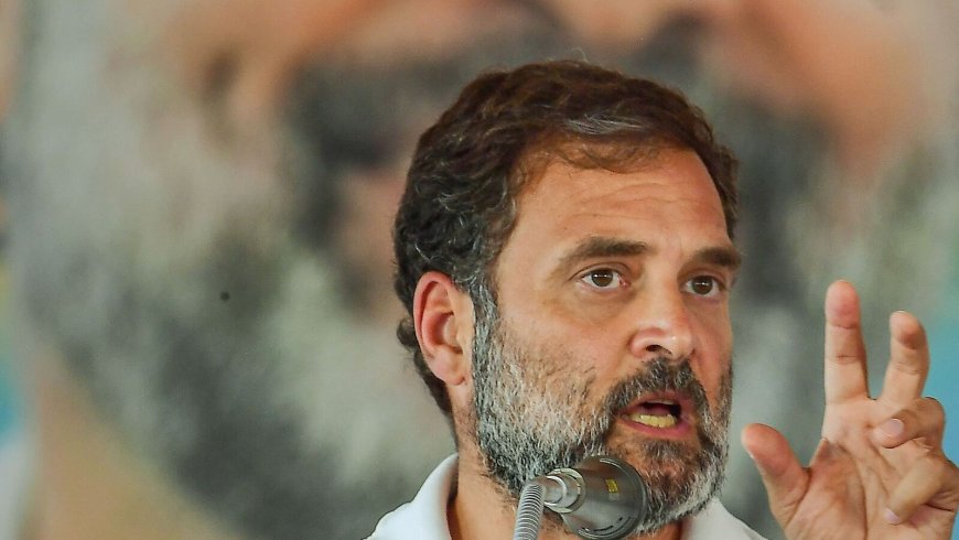 Will Rahul Gandhi retain Wayanad in three-cornered fight with CPI's Annie Raja and BJP's K Surendran in Phase 2?