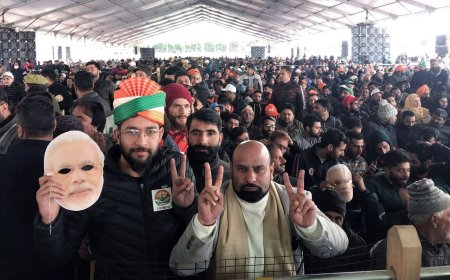 Kashmir News: In first Lok Sabha election post Article 370 scrapping, BJP not in the fray in 3 Valley seats. 5 points