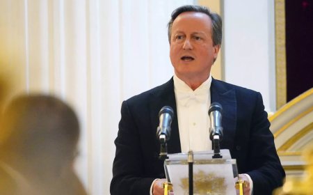 UK foreign secretary says halting arms sales to Israel would only strengthen Hamas