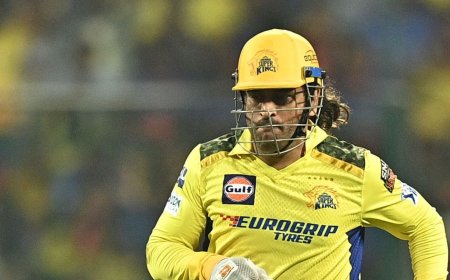 'MS Dhoni can't leave…': CSK veterans reveal why Mahi may be back for IPL 2025