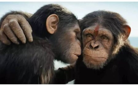 Kingdom of the Planet of the Apes’ earns Rs 4.25 cr
