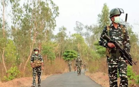 Seven Naxalites killed in encounter in Chhattisgarh's Bijapur district