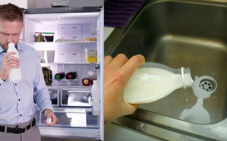 How to keep packaged milk fresh in Summers?