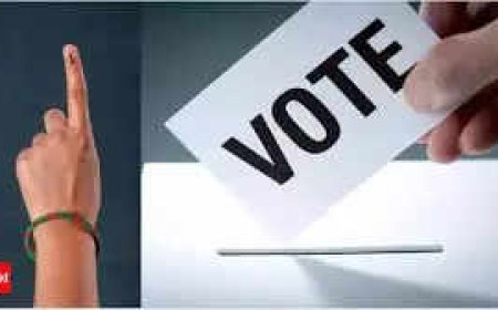 North East Delhi Lok Sabha election 2024 Phase 6: Polling date, candidates and more