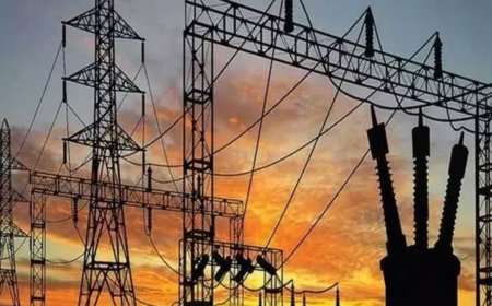 Delhi's peak power demand clocks 8,000MW for first time ever in May