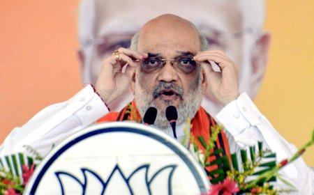 'Tell Rahul Baba he's not getting more than 40 seats': Amit Shah claims 'Modi has crossed 310 mark'