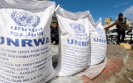Italy resumes UNRWA funding in Palestinian aid package