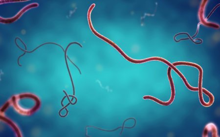 Chinese scientists create deadly virus in lab