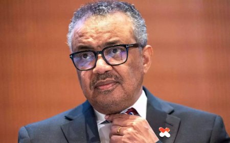 WHO chief refers to Global Traditional Medicine Centre in India in his address to World Health Assembly