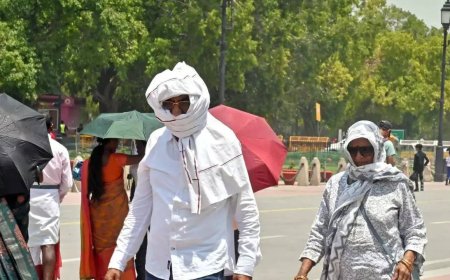 Delhi's Mungeshpur bakes at 48.3°C; IMD issues red alert for capital