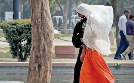 India records temperature at 50 degrees: Understanding the causes behind country's extreme heatwave