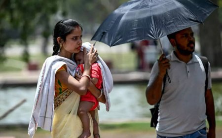 ‘Error in sensor or local factors': IMD starts probing Delhi's 52.9°C