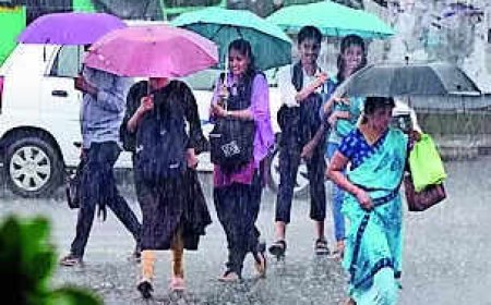 Monsoon to enter Karnataka on June 2: IMD