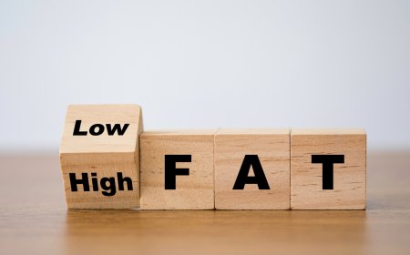 Harmful effects of a high fat diet on your body
