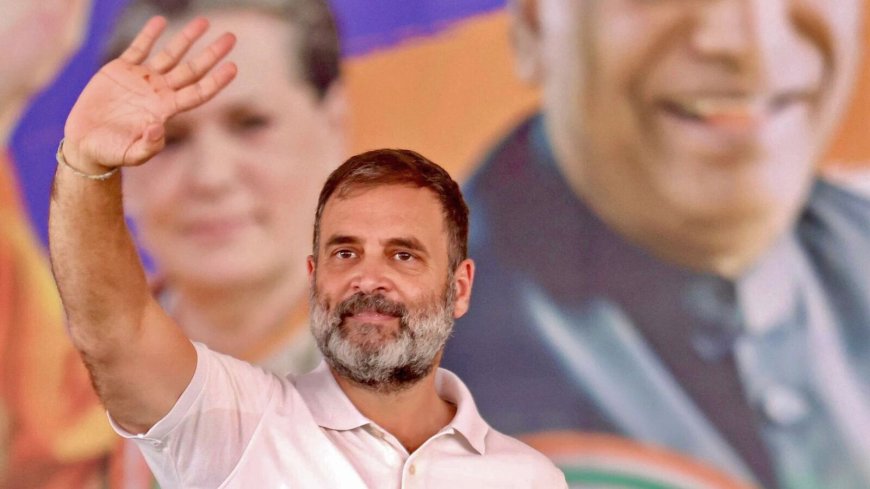 Election 2024: Rahul Gandhi against Congress fielding a Nehru-Gandhi family member from Amethi &amp; Raebareli, says report