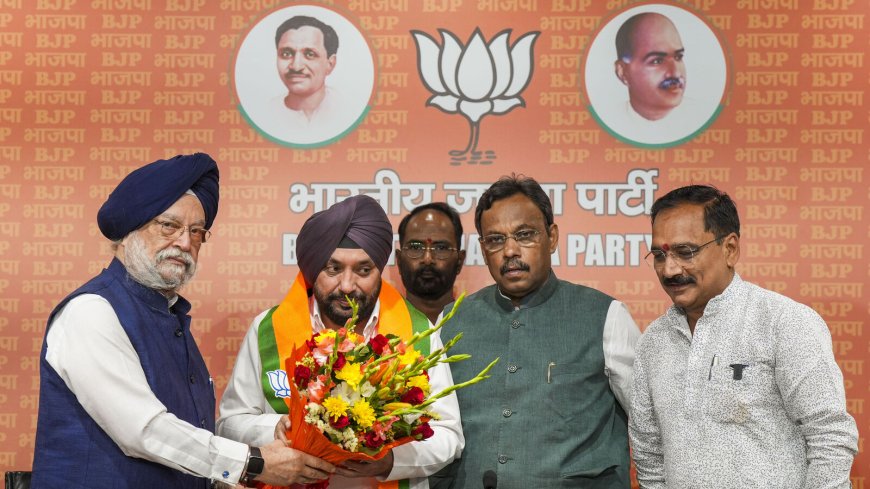 Lok Sabha Elections 2024: When ex-Congress leader Arvinder Singh Lovely said he was an 'ideological misfit' in BJP