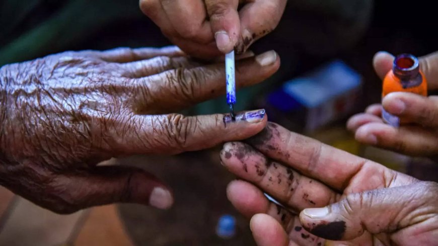 Its vote share down to 1% in 2019, BSP eyes political revival in Delhi