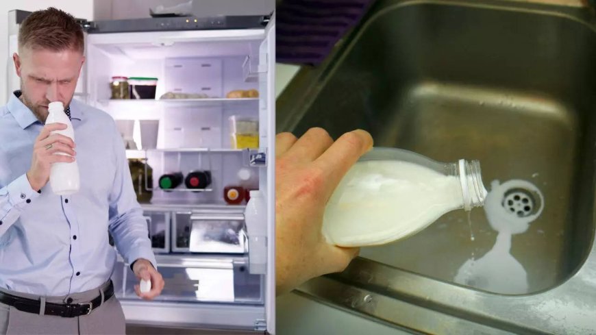 How to keep packaged milk fresh in Summers?