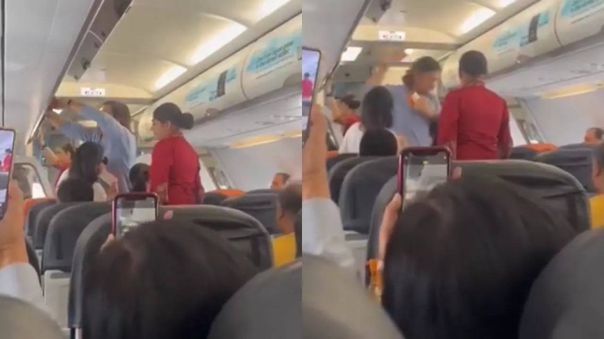 Social media abuzz as Dhoni flies in economy class - WATCH