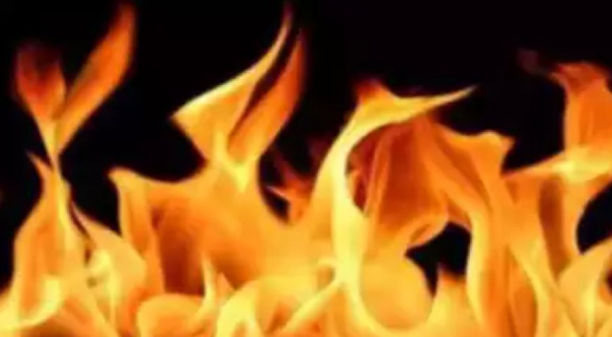 Fire breaks out in southeast Delhi area, 12 huts gutted